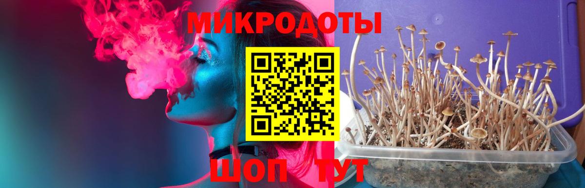 Волгоград  Галлюциногенные грибы мицелий  Вход с VPN 